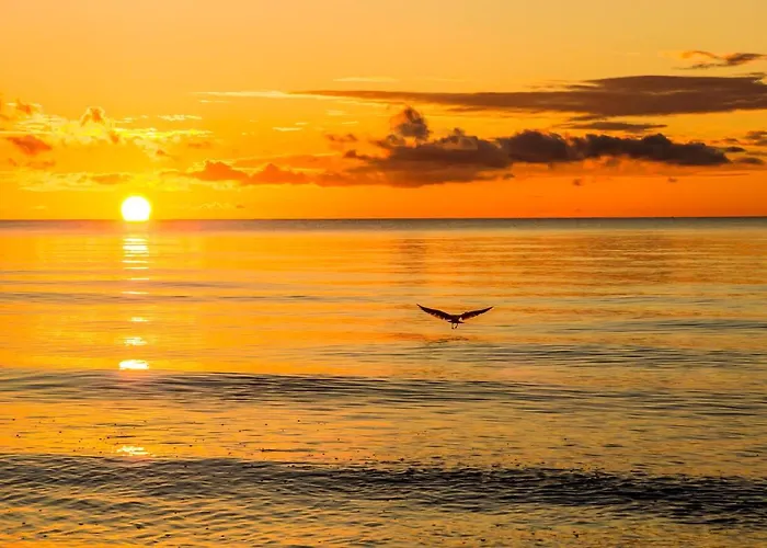 La Cigale Villa Boltenhagen (Ostseebad)